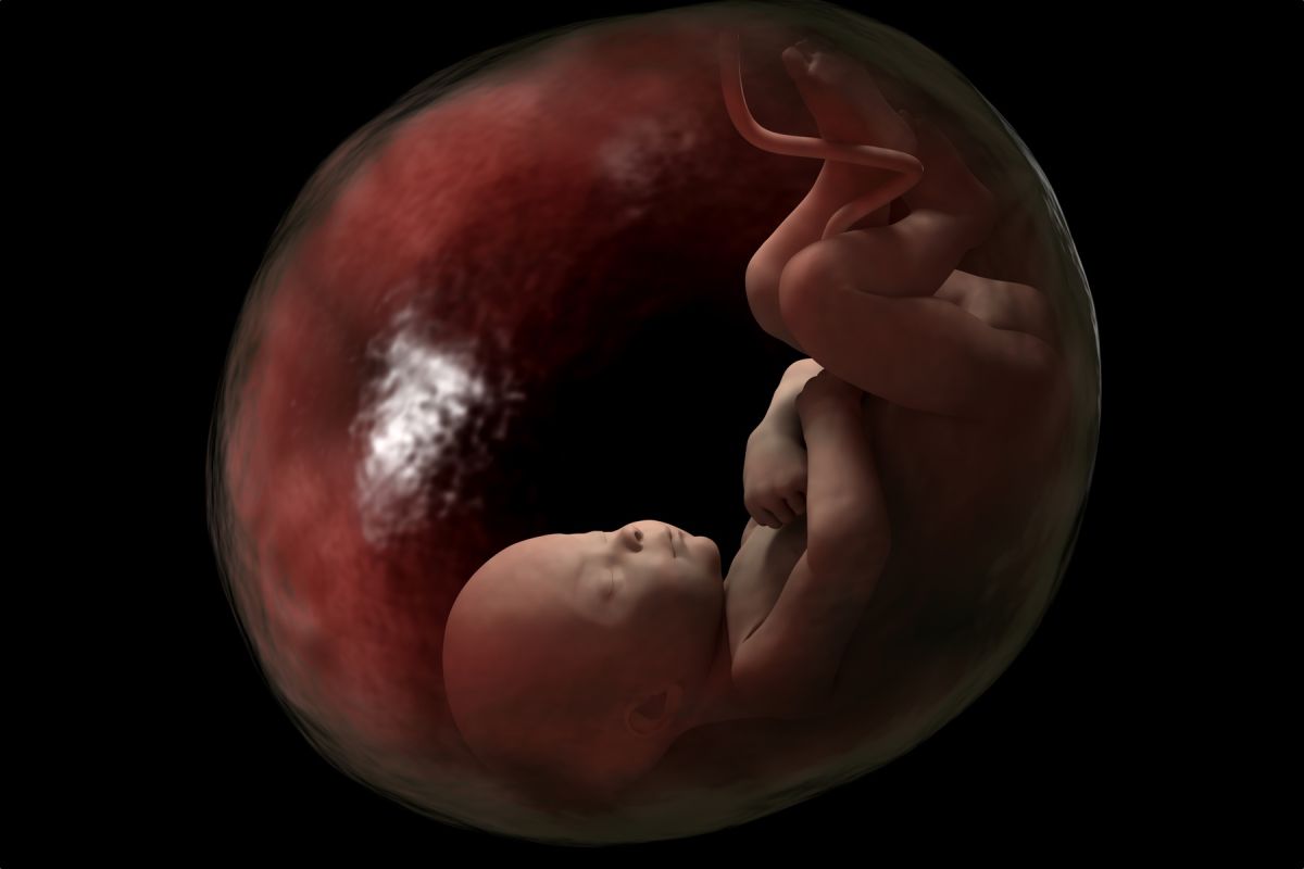 Сонување спонтан абортус за самохрана жена - толкување на соништата