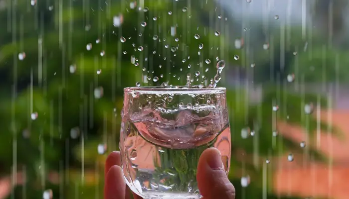 Пиење дождовна вода во сон