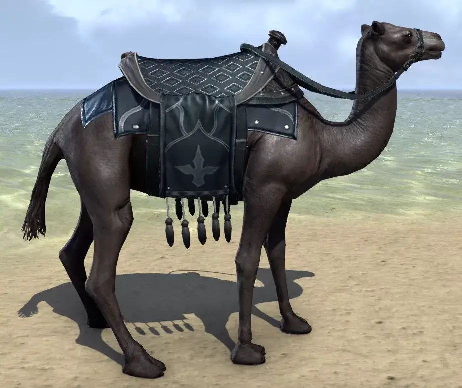 Must kaamel unes