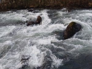 تفسير رؤية السيل في المنام