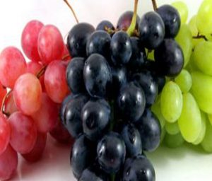 Interpretazione di un sognu nantu à a cugliera di uva