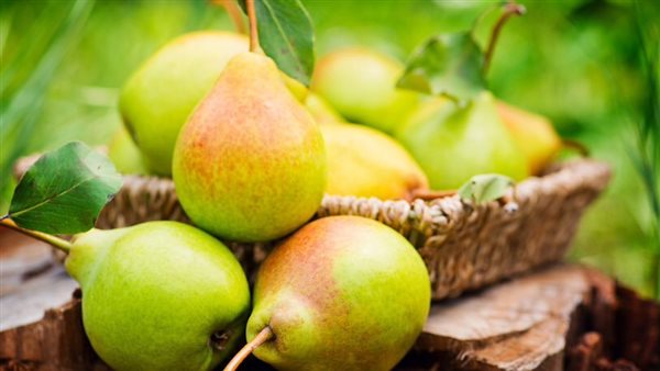 Pears នៅក្នុងសុបិនមួយ។