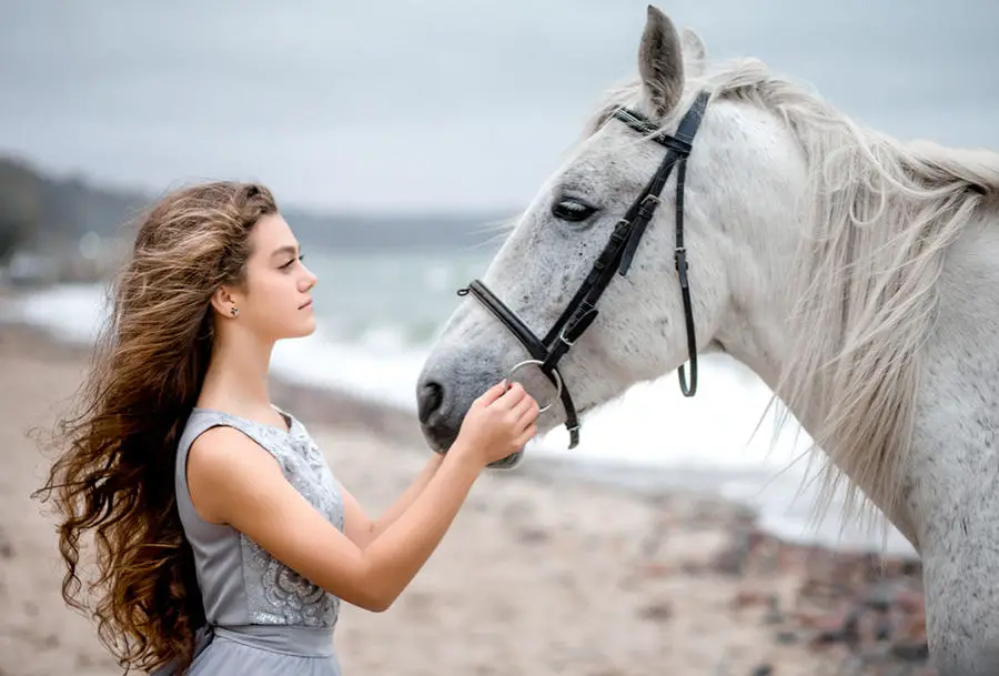 Interpretación de un caballo en un sueño para una niña.