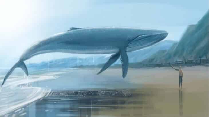 Interpretatie van een droom over een walvis