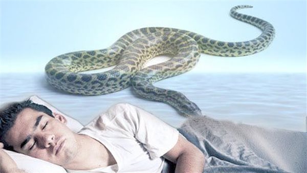 Tumačenje vidjeti zmiju u snu