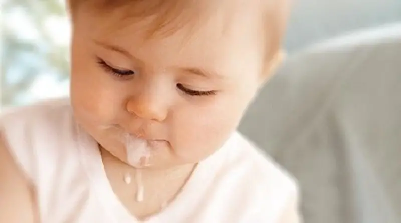 U zitellu chì vomita latte