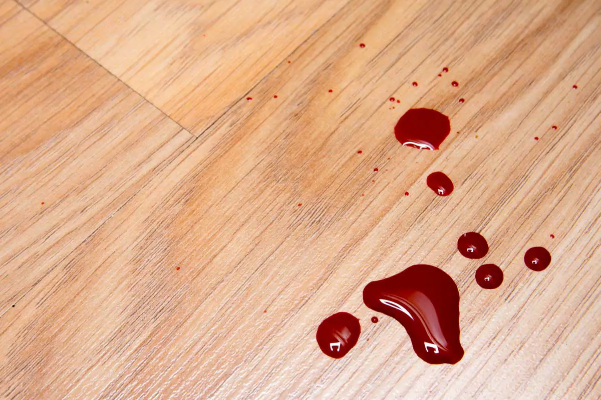 Sangue chì esce da u corpu