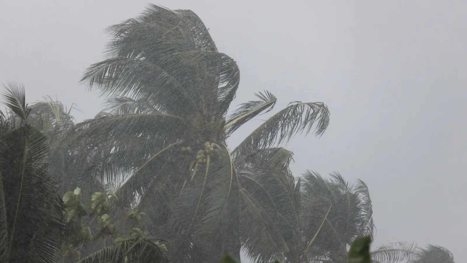 Strong winds - تفسير الاحلام