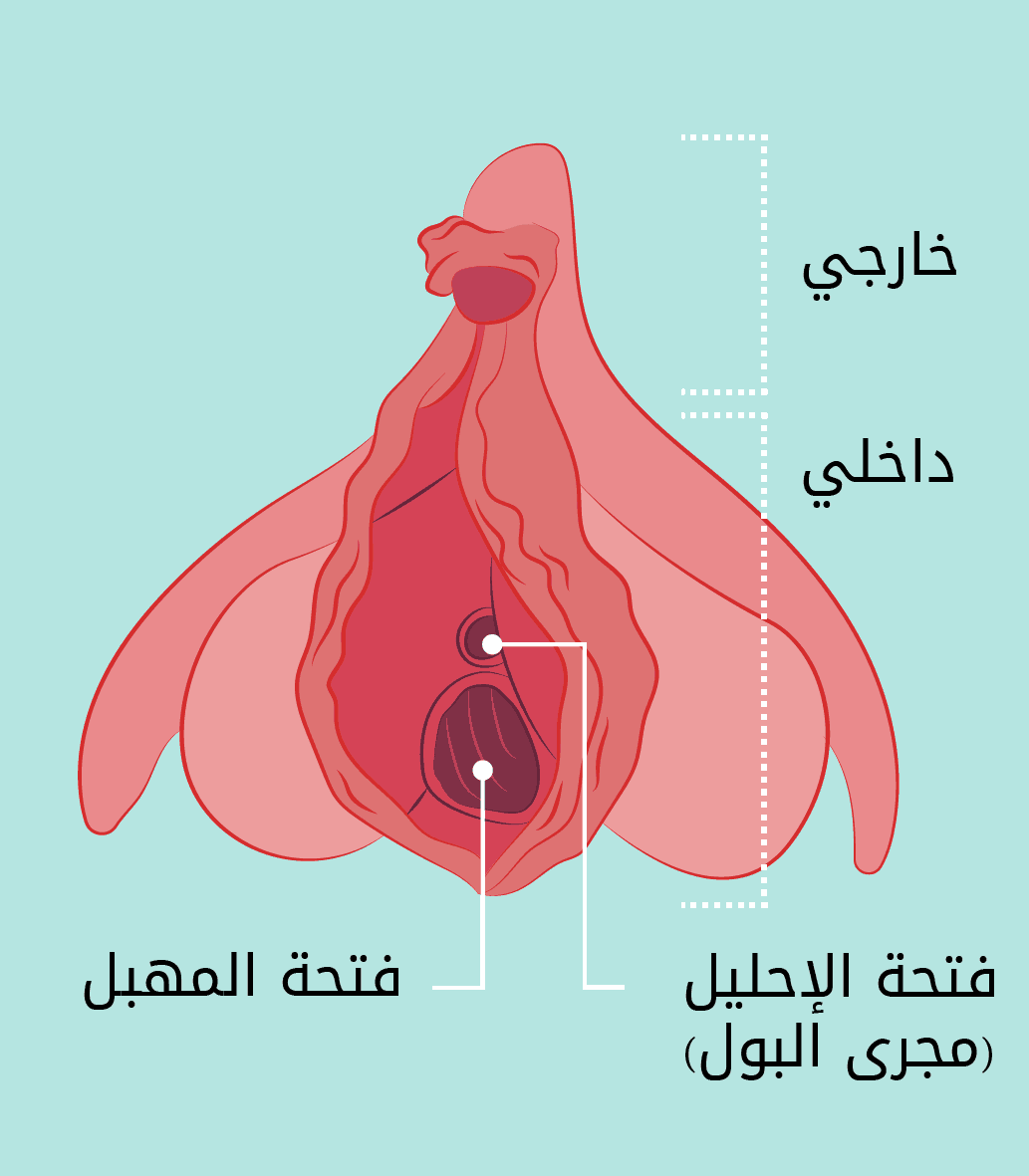 تنظيف الفرج للمتزوجه