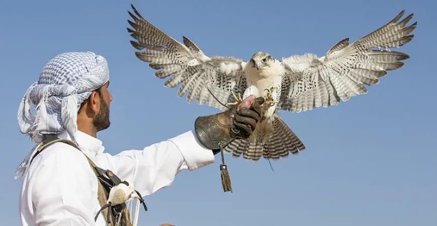 مسك صقر