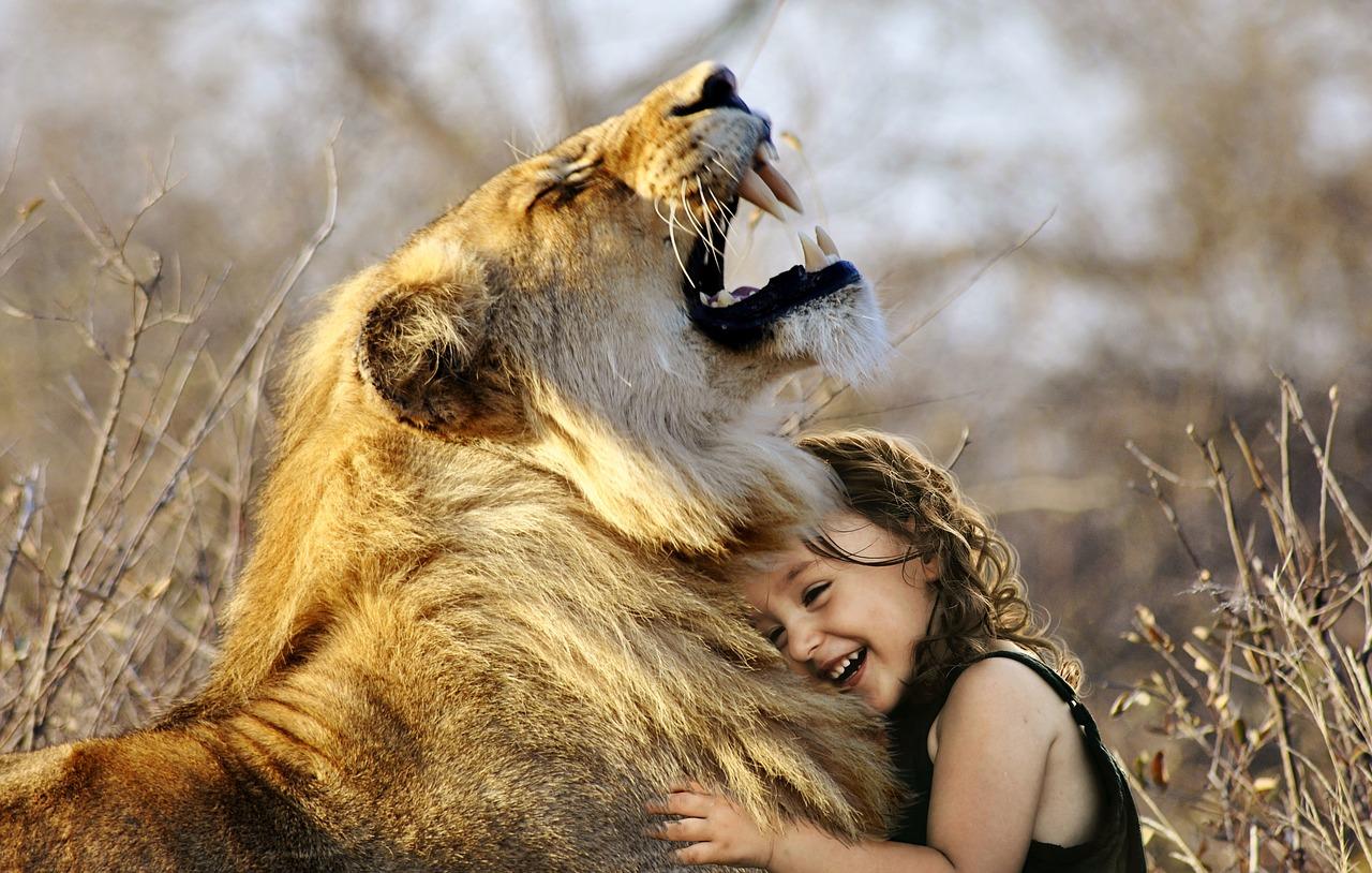 Soñar con un león mascota – interpretación de los sueños