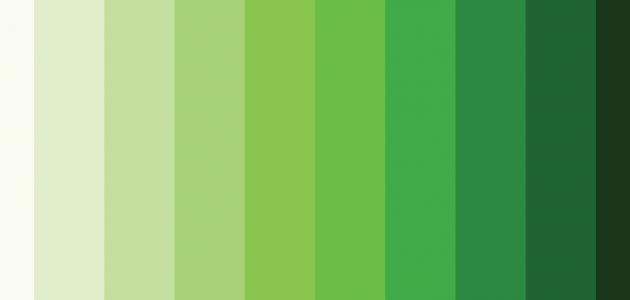  اللون الأخضر وأسماؤها - تفسير الاحلام