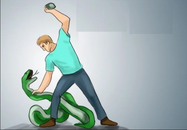 تفسير حلم قتل الحنش