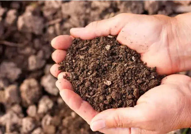 تفسير حلم التراب في المنزل للمتزوجه