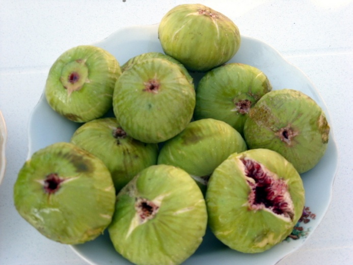 تفسير تين اخضر في المنام