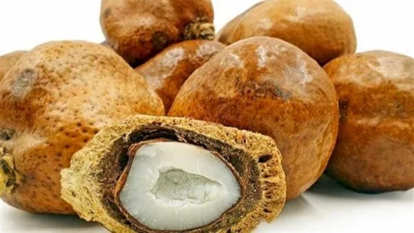 الدوم في المنام لابن سيرين