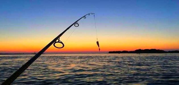 السنارة في المنام