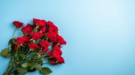 למד על הפרשנות של ורדים אדומים בחלום מאת אבן סירין