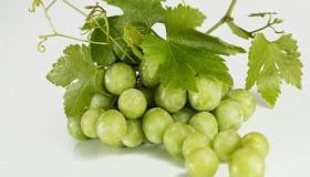 Vendo uvas verdes em um sonho de Ibn Sirin