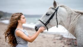 Tolkning av en häst i en dröm för en tjej av Ibn Sirin