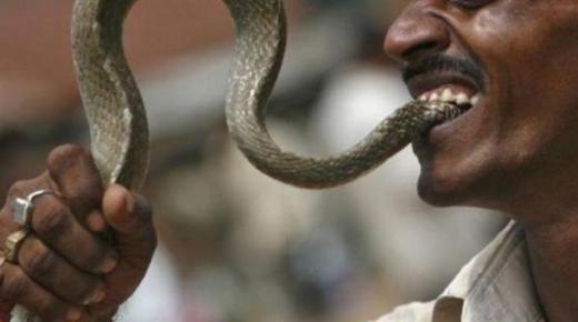 Aprenda sobre a interpretação do sonho de comer uma cobra em um sonho de acordo com Ibn Sirin