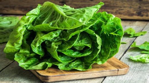 Naučite tumačenje jedenja zelene salate u snu od Ibn Sirina