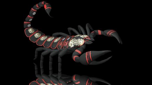Научете за тълкуването на черни скорпиони в съня от Ибн Сирин