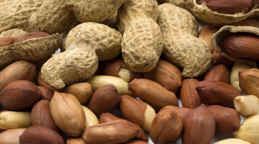 En savoir plus sur l'interprétation des cacahuètes dans un rêve par Ibn Sirin