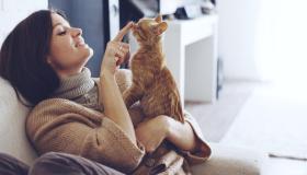 7 îşaretên dîtina pisîkan di xewnê de ji bo jinek bi Îbnî Sirîn re zewicî ye, bi hûrgulî wan nas bikin