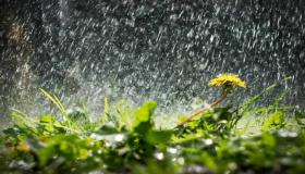 Μάθετε για την ερμηνεία της δυνατής βροχής σε ένα όνειρο από τον Ibn Sirin
