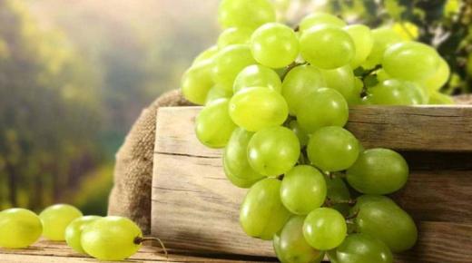 Interpretação do sonho de comer uvas verdes de Ibn Sirin