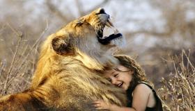למד על פירוש חלום על אריה מחמד על פי אבן סירין
