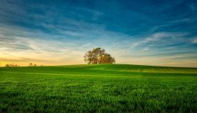 Mësoni më shumë rreth interpretimit të një ëndrre për tokën e gjelbër sipas Ibn Sirin