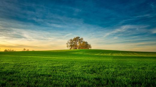 Saznajte više o tumačenju sna o zelenoj zemlji prema Ibn Sirinu