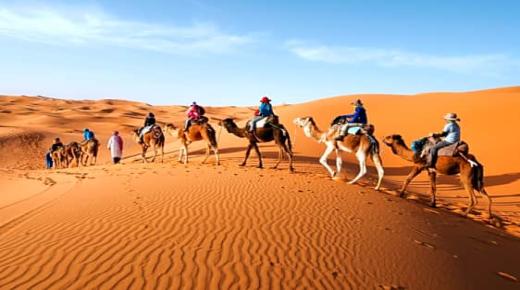 Η πιο σημαντική 50 ερμηνεία του ονείρου μιας μαινόμενης καμήλας σε ένα όνειρο από τον Ibn Sirin