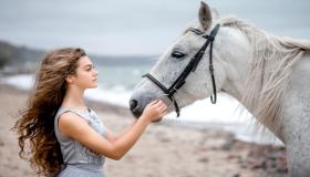 Толкување на сонот за коњ за самохрани жени