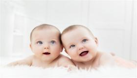 Научете го толкувањето на сонот за раѓање близнаци од Ибн Сирин