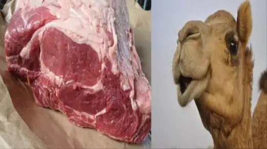 Τρώγοντας κρέας καμήλας σε όνειρο από τον Ibn Sirin