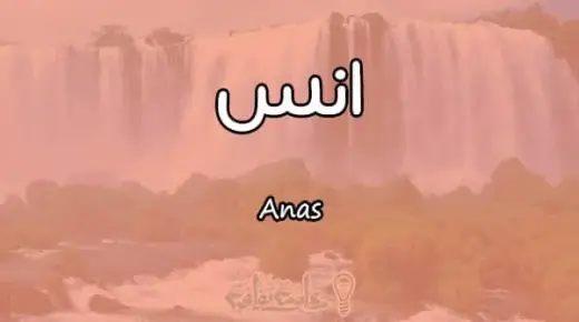 Научете го толкувањето на значењето на името Анас во сон од Ибн Сирин