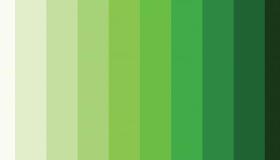 Какво е толкувањето на гледањето зелена боја во сон од Лине Сирин?