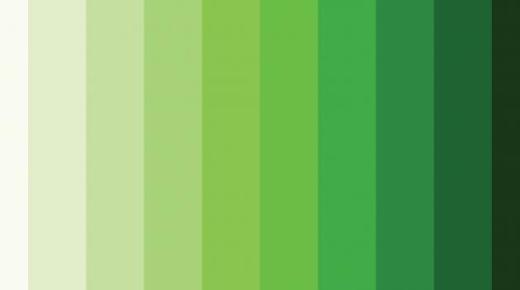 تعبیر دیدن رنگ سبز در خواب توسط لاین سیرین چیست؟