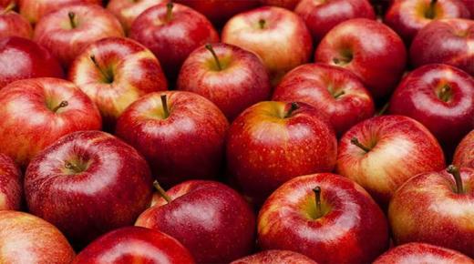 ما هو تفسير حلم التفاح للعزباء؟