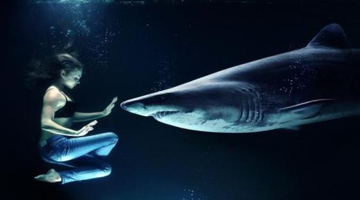 ما هو تفسير رؤية سمك القرش في المنام لابن سيرين؟